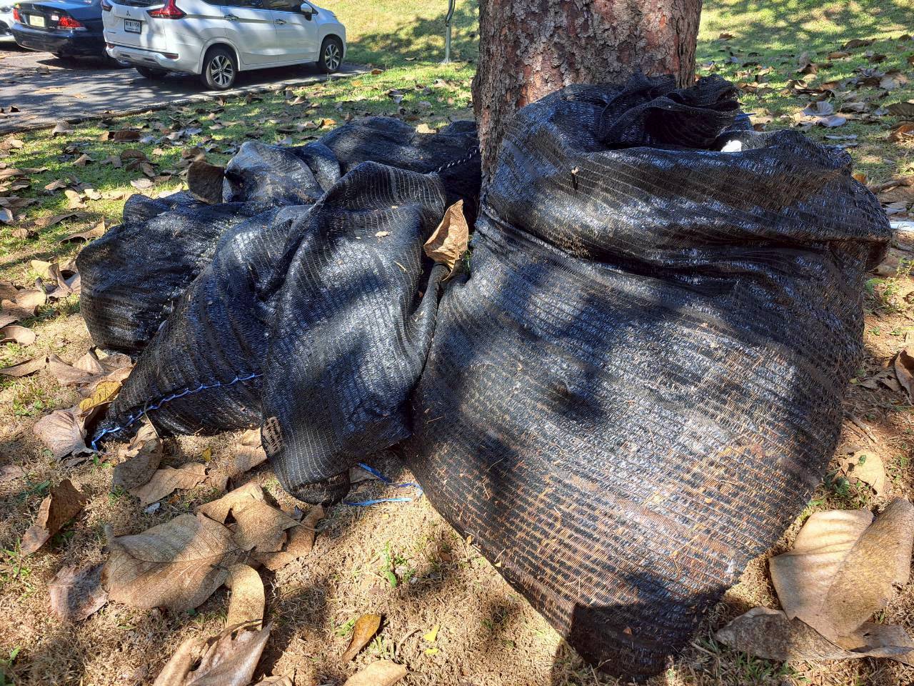 MFU News : LINE_ALBUM_19012026_ลงพื้นที่แม่สาย_เชียงราย_260121_2.jpg